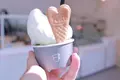 ザ カップス MEIEKI （THE CUPS） の写真_251558