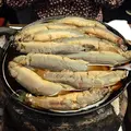駒形どぜう 本店の写真_251852