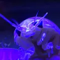 碧南市青少年海の科学館・碧南海浜水族館の写真_252079