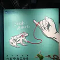 碧南市青少年海の科学館・碧南海浜水族館の写真_252080