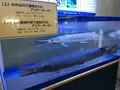 碧南市青少年海の科学館・碧南海浜水族館の写真_252084