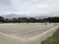 大井ふ頭海浜公園の写真_253423