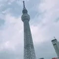 東京スカイツリーの写真_253444