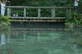 モネの池（名もなき池）の写真_253712
