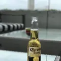 Hacienda del cielo (アシエンダ デル シエロ)の写真_253921