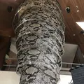 Hacienda del cielo (アシエンダ デル シエロ)の写真_253924