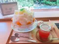 木と水と土との写真_253973