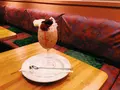 ケニヤン 渋谷店の写真_253984