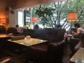 conceal.caFe MIYAMASUZAKAの写真_254206