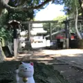 酒列磯前神社の写真_254434