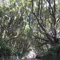 酒列磯前神社の写真_254436