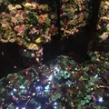 ポーラ ミュージアム アネックスの写真_254453