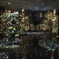 ポーラ ミュージアム アネックスの写真_254454