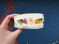 フツウニフルウツの写真_254752