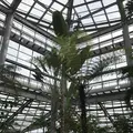 茨城県植物園の写真_254770