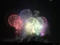 長岡まつり大花火大会の写真_254886