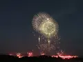 長岡まつり大花火大会の写真_254887