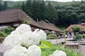 大内宿の写真_255115