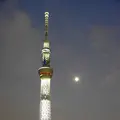 東京水辺ライン両国発着場の写真_255265