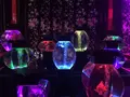 【閉業】アートアクアリウムの写真_255573