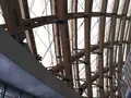 大館樹海ドームの写真_256170