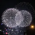 長岡まつり大花火大会の写真_256357