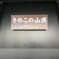 東京タワーの写真_256541