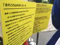 東京タワーの写真_256552