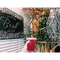 Bird 代官山（バード）の写真_257167