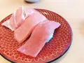 まぐろや石亭の写真_257185