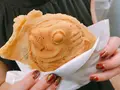 天音の写真_257213