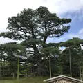 兼六園の写真_257277