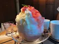 木と水と土との写真_257361
