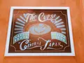 ザ カップス MEIEKI （THE CUPS） の写真_257383