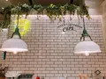 ザ カップス MEIEKI （THE CUPS） の写真_257384