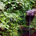 光前寺の写真_257711
