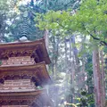 光前寺の写真_257712