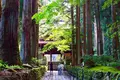 光前寺の写真_257713