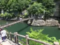 塔のへつりの写真_258313
