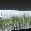 アクアマリンふくしまの写真_258850