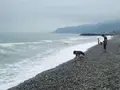 ヒスイ海岸の写真_259285