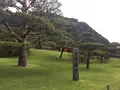 仙巌園の写真_259970