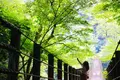 花貫渓谷の写真_260215