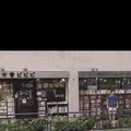 古書ビビビの写真_260629