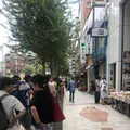 馬子禄の写真_261110