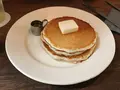 【閉業】ももちどりの写真_262556