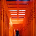 日枝神社の写真_262686
