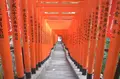 日枝神社の写真_262687