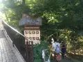 等々力渓谷の写真_263364