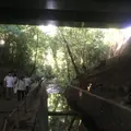等々力渓谷の写真_263365